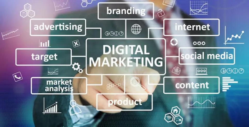 Our Digital Marketing Projects